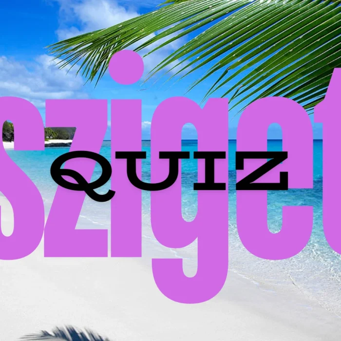 Homokos tengerpart, belogó zöld pálmalevéllel, és egy a képre irt felirattal. "Sziget quiz"